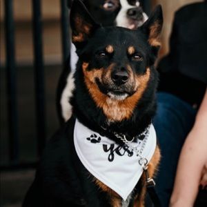 Meet your Posher, Cassie